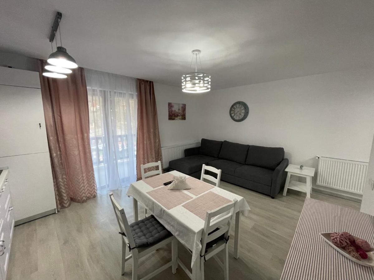 Castle Residence Apt. Eminescu Buşteni Exteriör bild