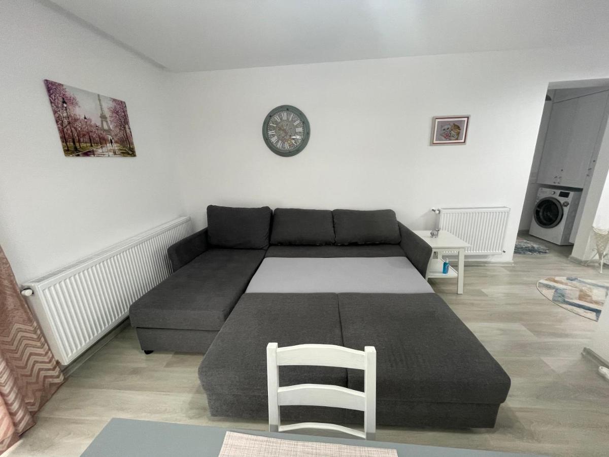Castle Residence Apt. Eminescu Buşteni Exteriör bild